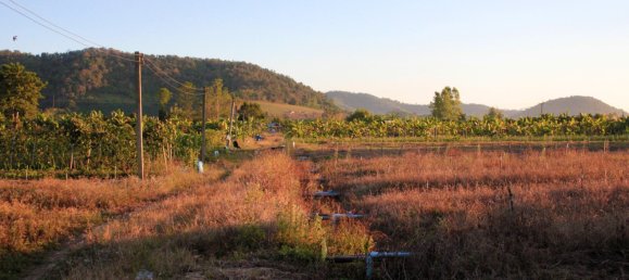 Terreno en Chiang Mai, Thailand 38400 m² No. 68360 4