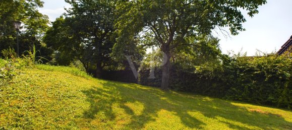 4-Zimmer Bungalow in Aschaffenburg, Germany, Nr. 164269 10