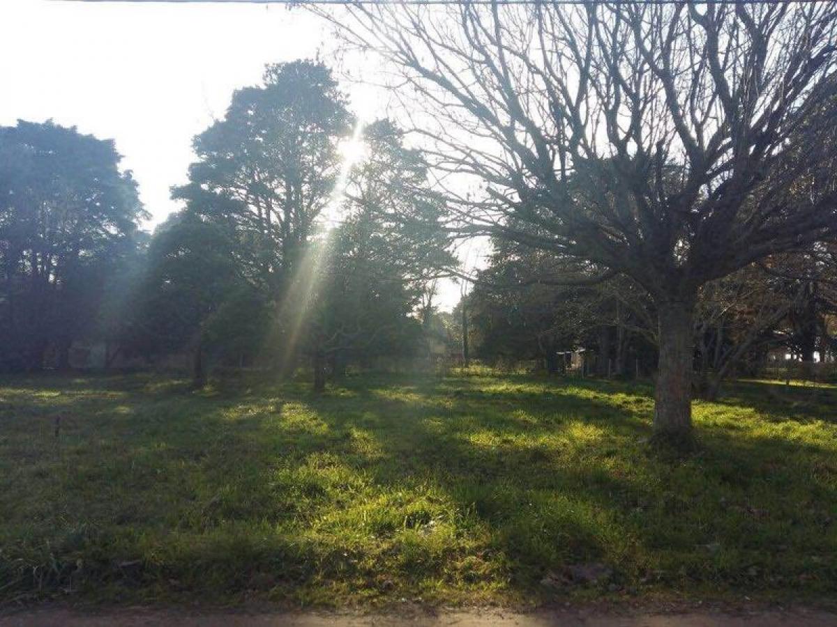  Land in Mar del Plata, Argentina No. 116988