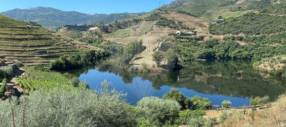 4 bedrooms House in Armamar, Portugal No. 52121 4