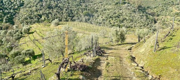 4 bedrooms House in Armamar, Portugal No. 52121 16