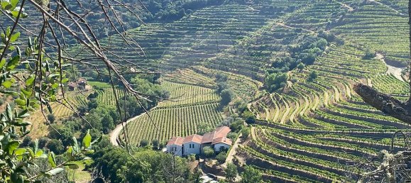 4 bedrooms House in Armamar, Portugal No. 52121 3