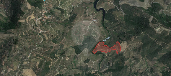 4 bedrooms House in Armamar, Portugal No. 52121 49