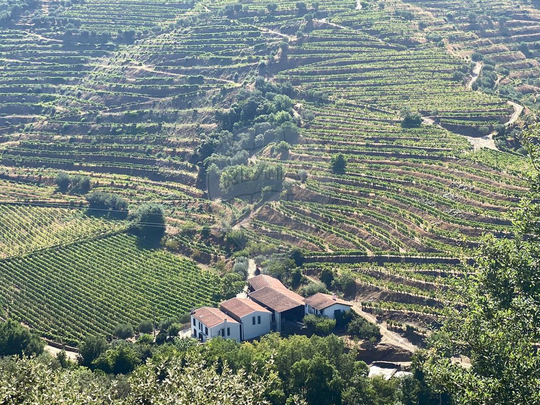 4 bedrooms House in Armamar, Portugal No. 52121