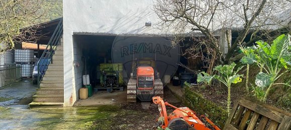 4 bedrooms House in Armamar, Portugal No. 52121 8