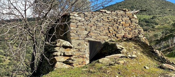 4 bedrooms House in Armamar, Portugal No. 52121 20