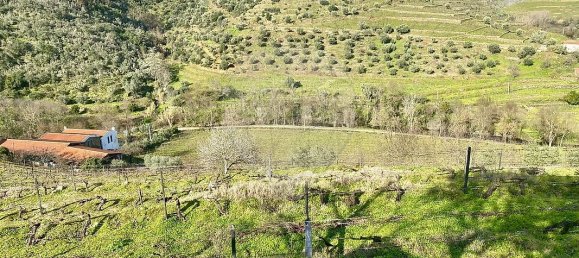 4 bedrooms House in Armamar, Portugal No. 52121 21