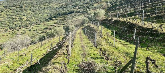 4 bedrooms House in Armamar, Portugal No. 52121 18