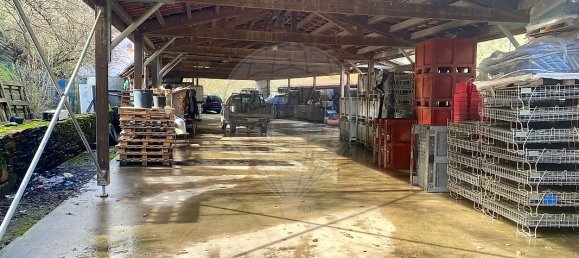 4 bedrooms House in Armamar, Portugal No. 52121 39