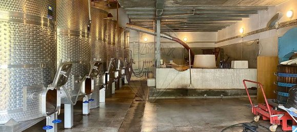 4 bedrooms House in Armamar, Portugal No. 52121 36