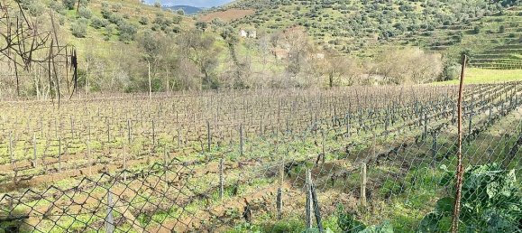 4 bedrooms House in Armamar, Portugal No. 52121 41