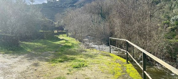 4 bedrooms House in Armamar, Portugal No. 52121 48