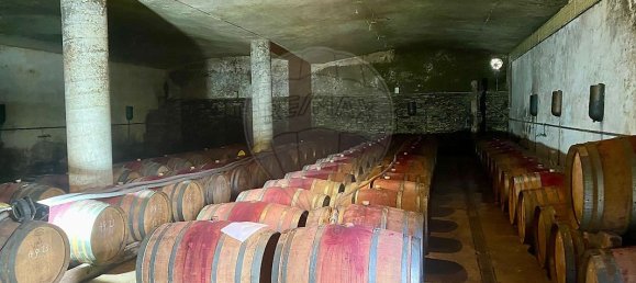 4 bedrooms House in Armamar, Portugal No. 52121 42