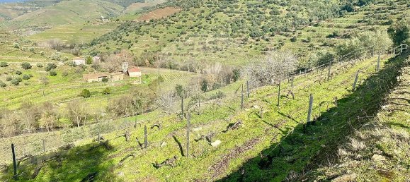 4 bedrooms House in Armamar, Portugal No. 52121 17