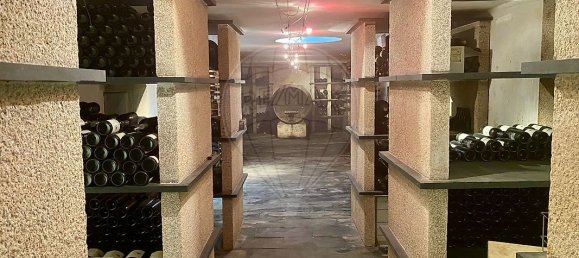 4 bedrooms House in Armamar, Portugal No. 52121 26