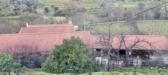 4 bedrooms House in Armamar, Portugal No. 52121 23