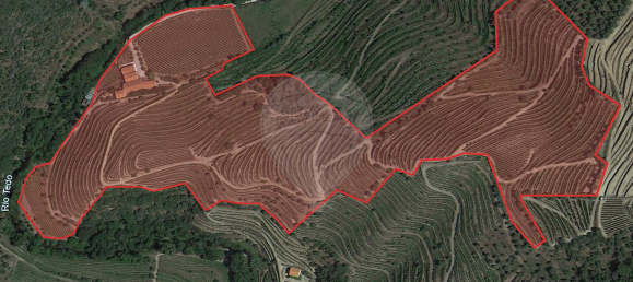 4 bedrooms House in Armamar, Portugal No. 52121 2