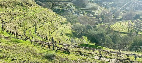 4 bedrooms House in Armamar, Portugal No. 52121 22