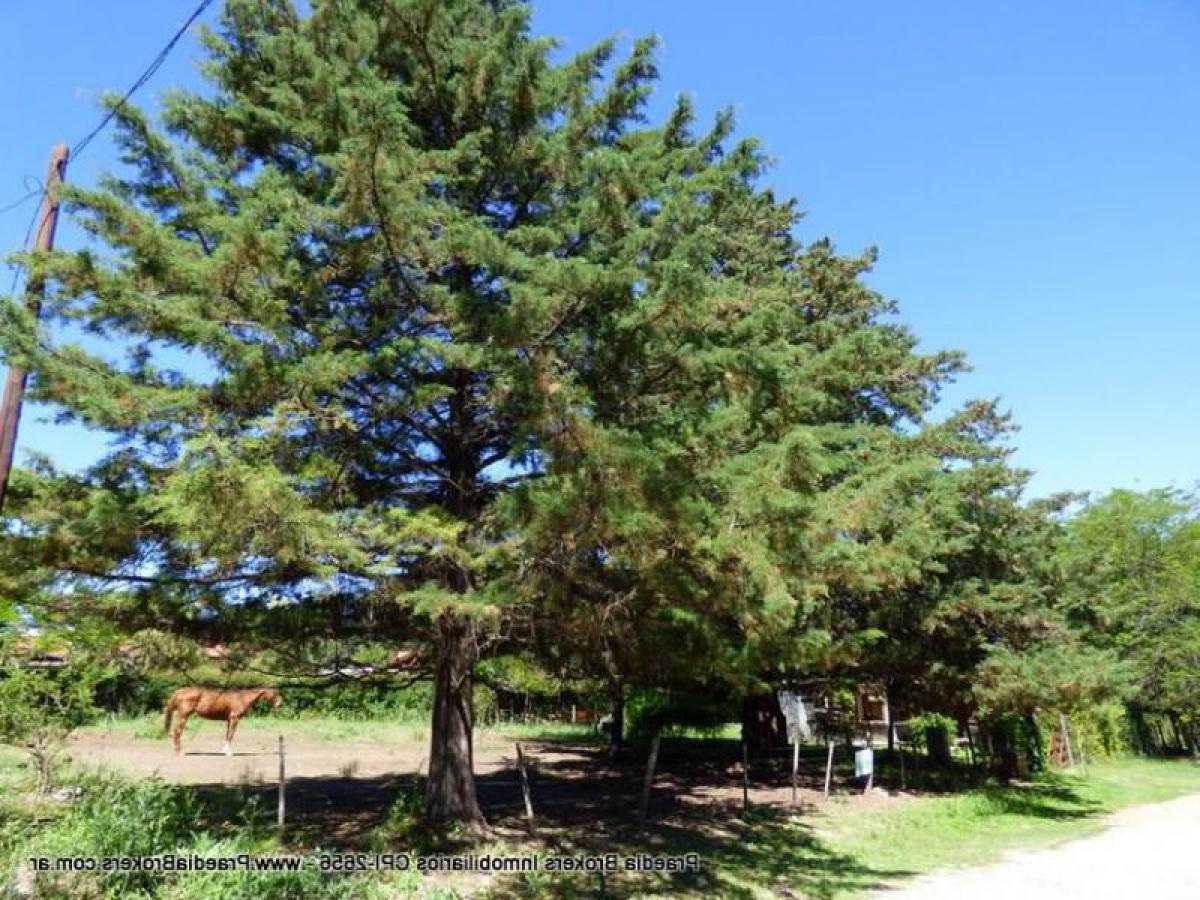  قطعة أرض في Cordoba, Argentina رقم 50426