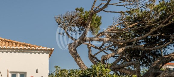 3 bedrooms House in Colares, Portugal No. 53174 15