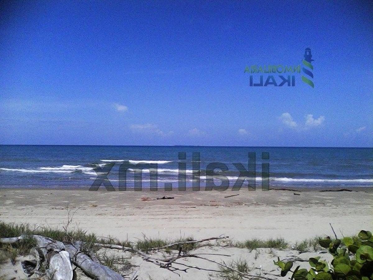  Land in Veracruz, Mexico No. 205935