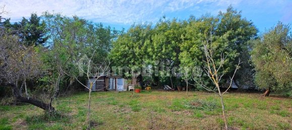 Terrain à Rosignano Marittimo, Italy 9690m² No. 133532 7