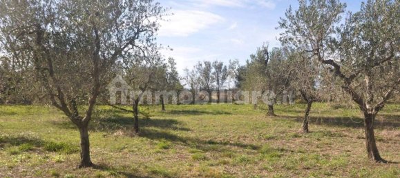 Terrain à Rosignano Marittimo, Italy 9690m² No. 133532 5