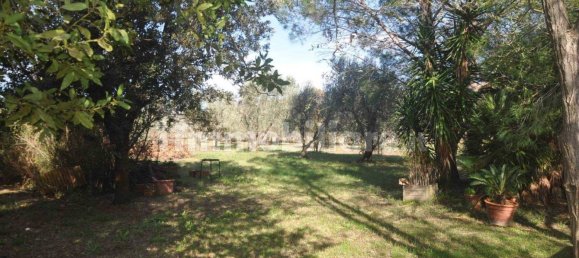 Terrain à Rosignano Marittimo, Italy 9690m² No. 133532 8