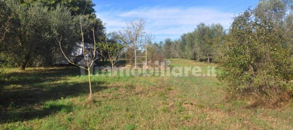 Terrain à Rosignano Marittimo, Italy 9690m² No. 133532 6