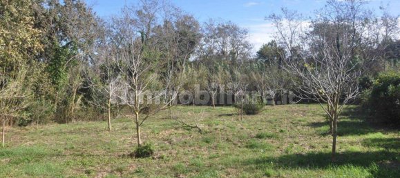 Terrain à Rosignano Marittimo, Italy 9690m² No. 133532 9