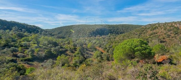 2 Schlafzimmer Haus in Loule, Portugal, Nr. 17609 5