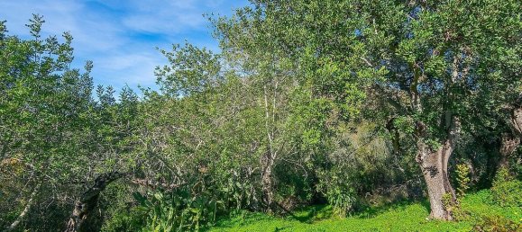 2 Schlafzimmer Haus in Loule, Portugal, Nr. 17609 17