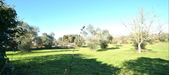 2 rooms Villa in Gioia del Colle, Italy No. 13004 17