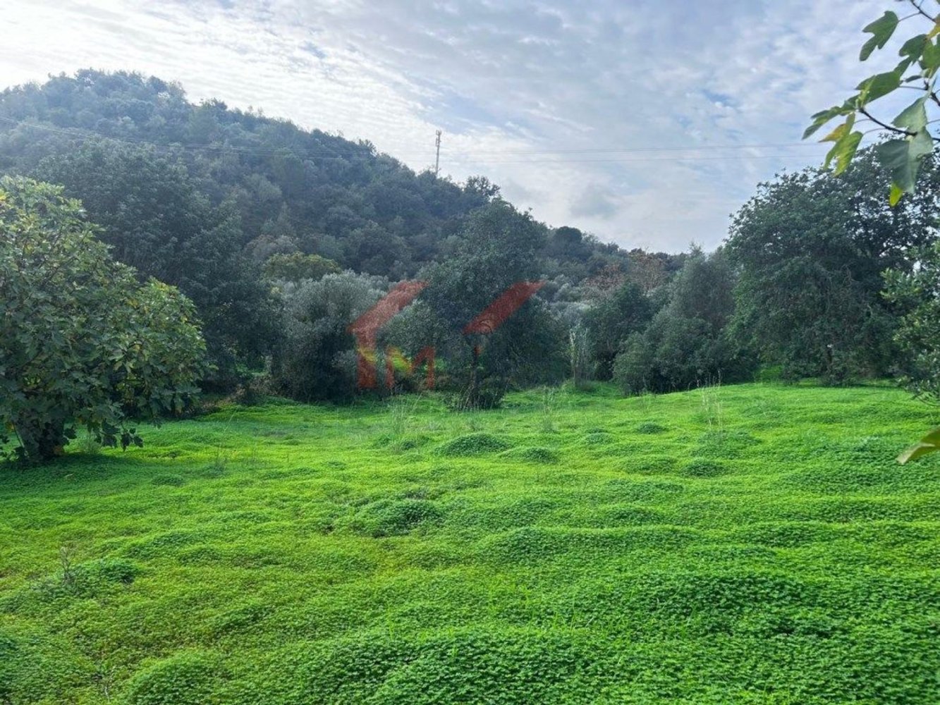 Grundstück in Salir, Portugal, Nr. 313074