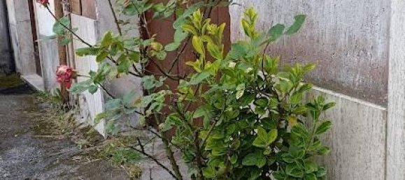 6 rooms House in Bojano, Italy No. 149612 31