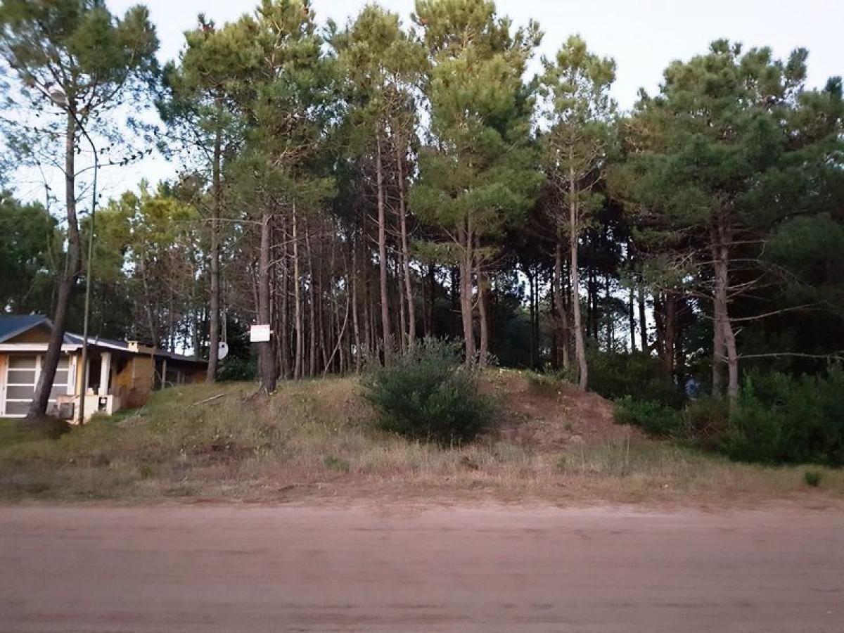 Terreno em Mar del Plata, Argentina N.º 117003