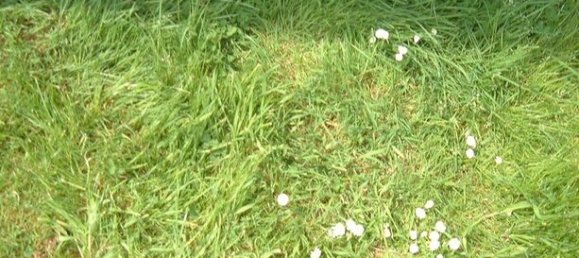 Grundstück in Broglie, France 1560m², Nr. 311638 2