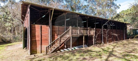 2 bedrooms House in Matosinhos, Portugal No. 68347 28