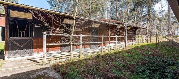 2 bedrooms House in Matosinhos, Portugal No. 68347 10