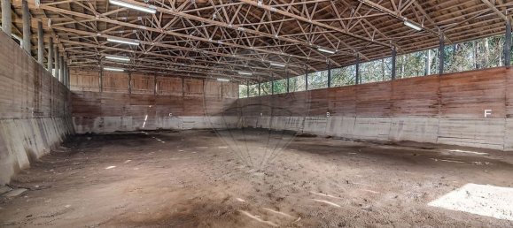 2 bedrooms House in Matosinhos, Portugal No. 68347 29