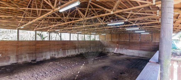 2 bedrooms House in Matosinhos, Portugal No. 68347 30