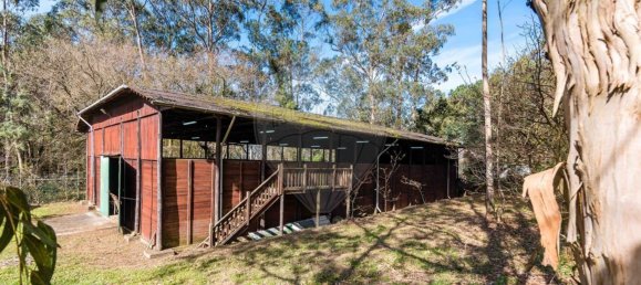 2 bedrooms House in Matosinhos, Portugal No. 68347 31