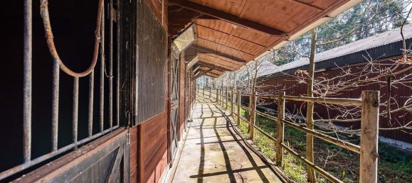 2 bedrooms House in Matosinhos, Portugal No. 68347 11