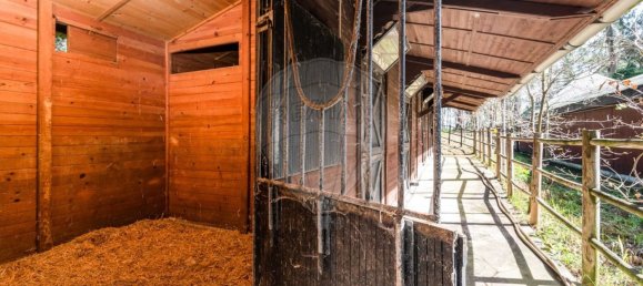 2 bedrooms House in Matosinhos, Portugal No. 68347 13