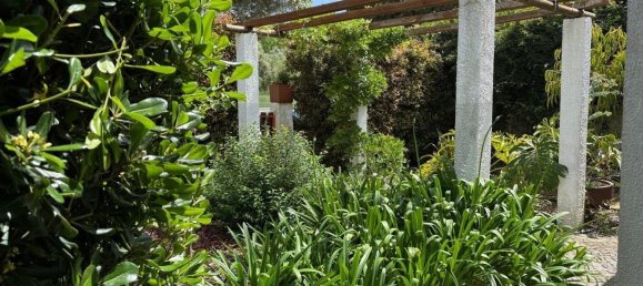 5 bedrooms Townhouse in Setubal, Portugal No. 117291 48