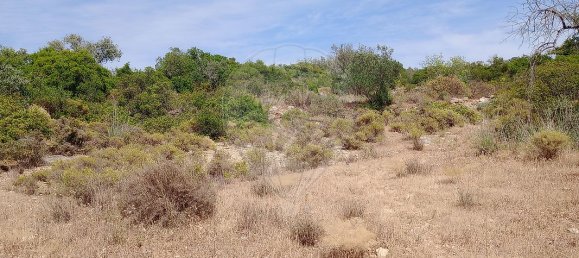 1 bedroom House in Faro, Portugal No. 29101 9