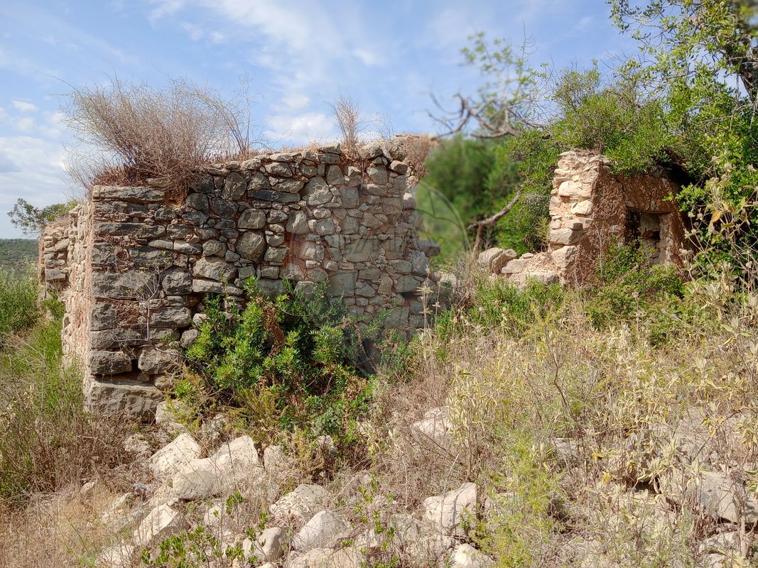 1 bedroom House in Faro, Portugal No. 29101