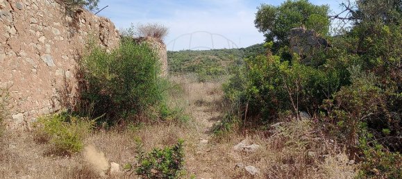 1 bedroom House in Faro, Portugal No. 29101 3