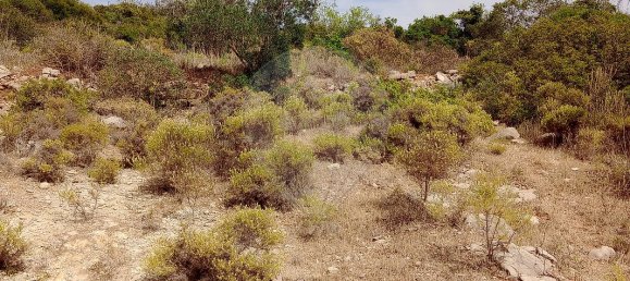 1 bedroom House in Faro, Portugal No. 29101 13