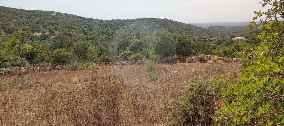 1 bedroom House in Faro, Portugal No. 29101 8